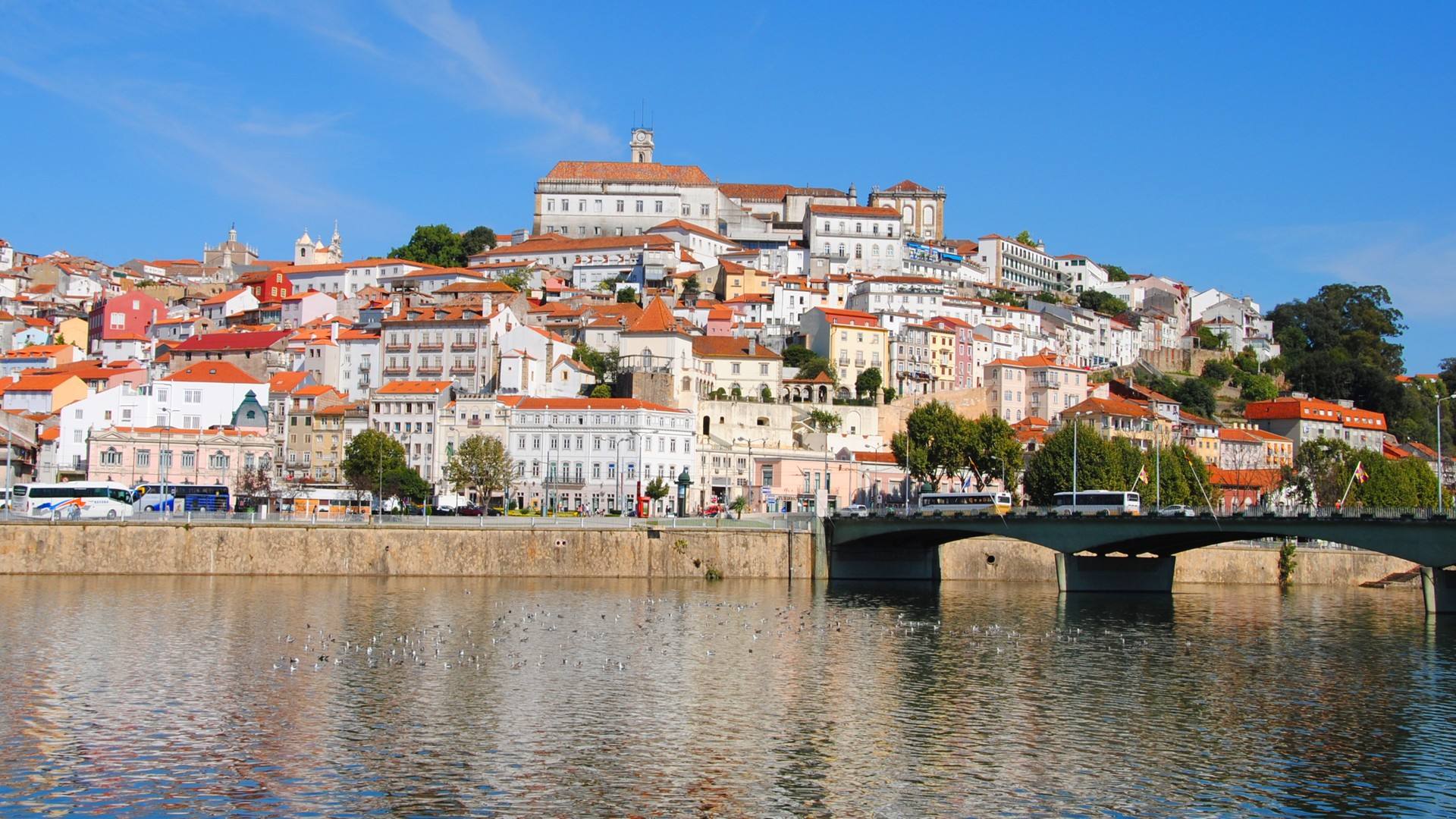 Web Design em Coimbra